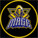 TEAM MAGE - discord server icon