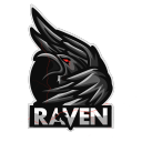 Raven - discord server icon