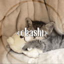 ⌗﹕okashi・🎱 - discord server icon