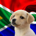 SillyFanDoggo's Community Server - discord server icon