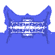 Dynamic Entropy - discord server icon