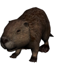 Beaver-Free Raiding - discord server icon