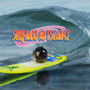 SURFANDO NO TSUNAMI (Em desenvolvimento) - discord server icon