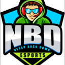 NBD ESPORTS - discord server icon