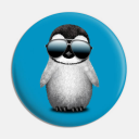 Penguin Spa - discord server icon