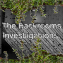 The Backrooms Investigation. - discord server icon