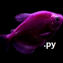 fishy.py - discord server icon