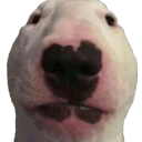 The Gaming Chill Zone - discord server icon