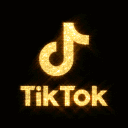 Tiktok Community - discord server icon