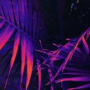 The Vibez - discord server icon