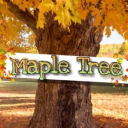 🍁Maple Tree🍁 - discord server icon