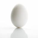 Egg - discord server icon