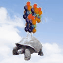 ˗ˏˋ╔Tortoise Gang╝ˎˊ˗ - discord server icon