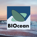 BioOcean - discord server icon