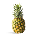 PineApple Discord - discord server icon