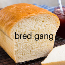 bred gang - discord server icon