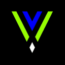 VGSD Work Server - discord server icon