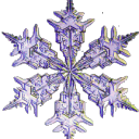 Snowflake ⛄ - discord server icon