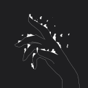 Dark Drops - discord server icon