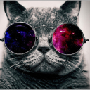 CAT GANG - discord server icon