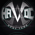 H Λ V O C ∾ T O W N - discord server icon