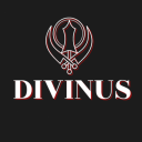 👑DIVINUS👑 - discord server icon