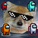 Mongoose Planet - discord server icon