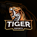 𝐓𝐈𝐆𝐄𝐑  Esports - discord server icon