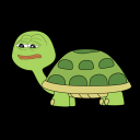 Dank Turtles - discord server icon