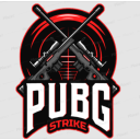 PUBG: STRIKE - discord server icon