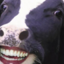 the cows - discord server icon