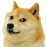 DogeTopia - discord server icon