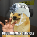 Doge’s Anomaly Site - discord server icon