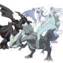 The Tao Dragon Trio - discord server icon
