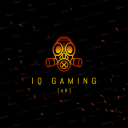 IQ GAMING [AR] - discord server icon