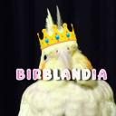 Birblandia - discord server icon