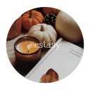 ᵕ̈ ↷ecstasy🍁 - discord server icon