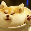 Café Doge - discord server icon