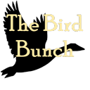 The Bird Bunch - discord server icon