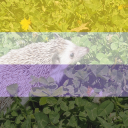 Enby Pride Treehouse 🦔 - discord server icon