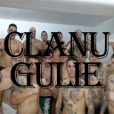 Clanul Gulie - discord server icon