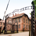 Auschwitz - discord server icon