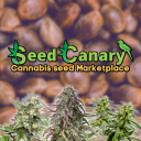 Seed Canary - discord server icon