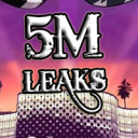 5M LEAKS - discord server icon