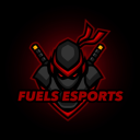 Fuels Esports - discord server icon