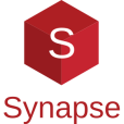 Synapse Services - discord server icon