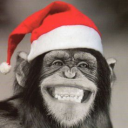 🎄MONKEEE Empire🎄 - discord server icon