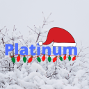 Platinum Support - discord server icon