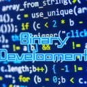 Binary Development - discord server icon