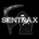💀Sentra X - discord server icon